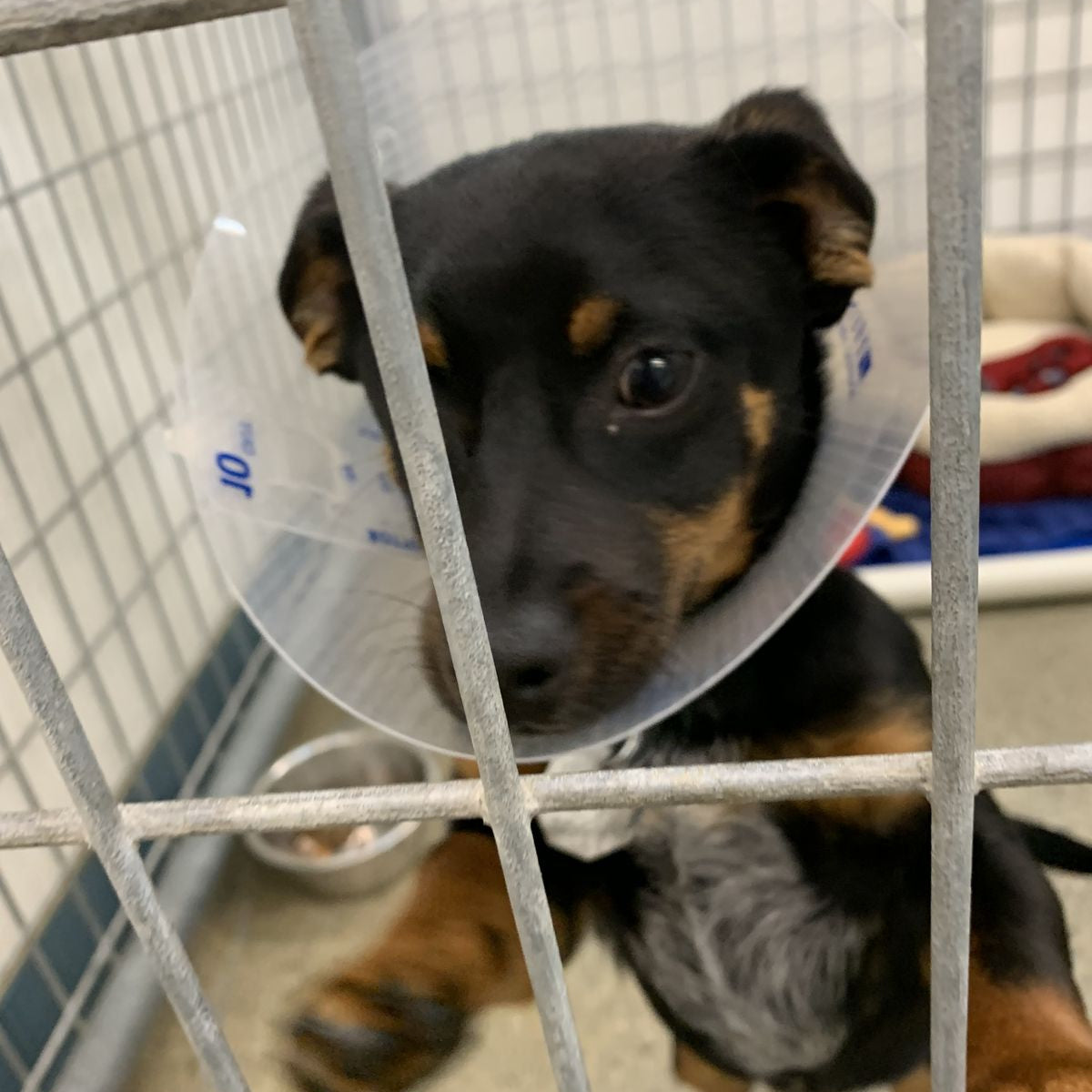 Emergency Shelter Support