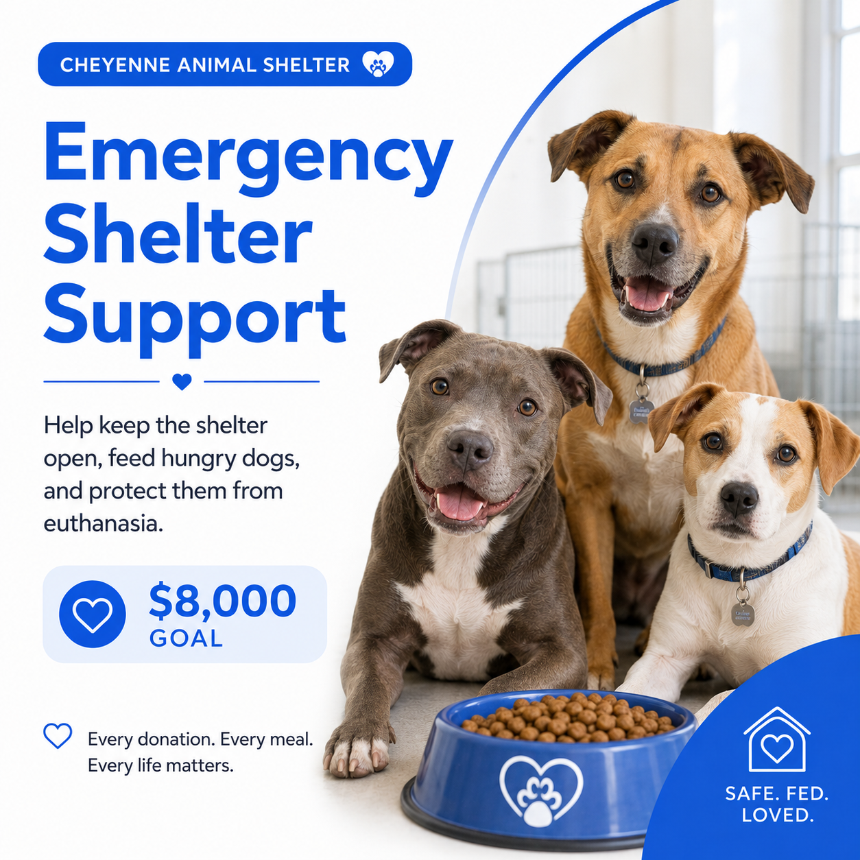 Emergency Shelter Support