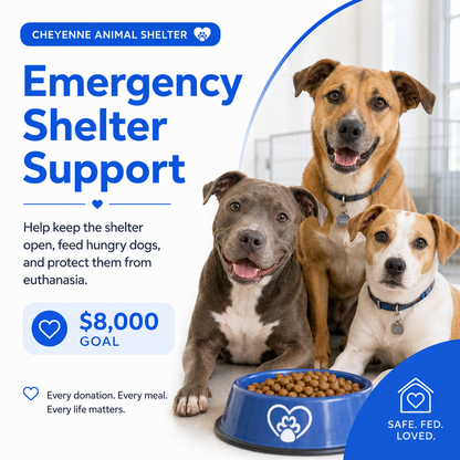 Emergency Shelter Support